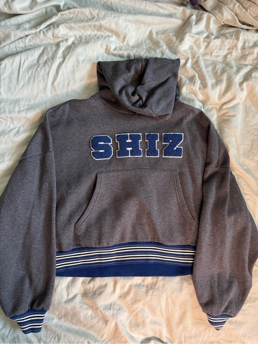 SHIZ University Hoodie Size Medium Official Wicked Merchandise